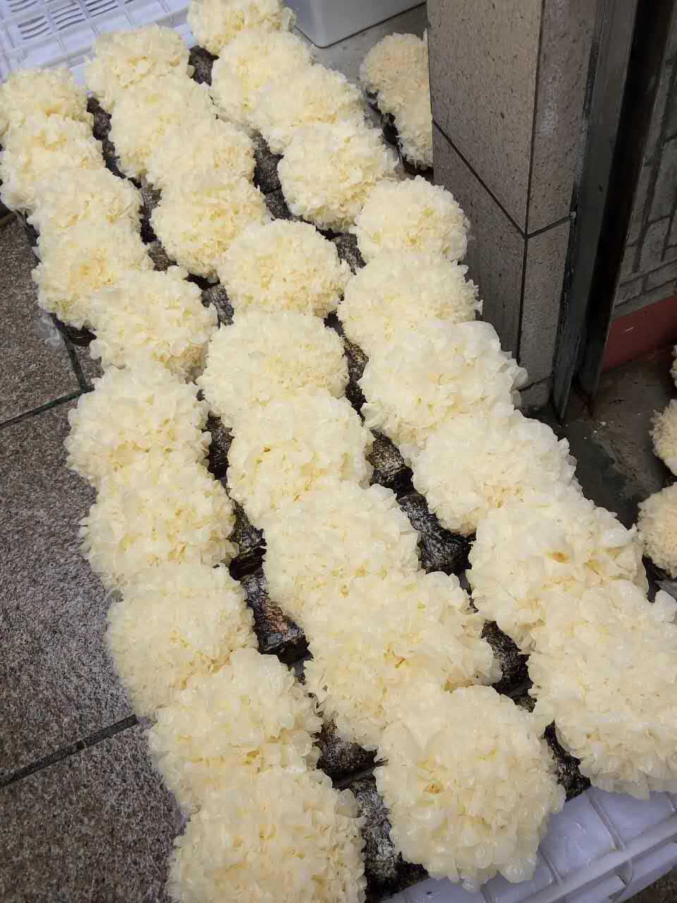 太阳成官网